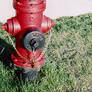 FIRE... Hydrant