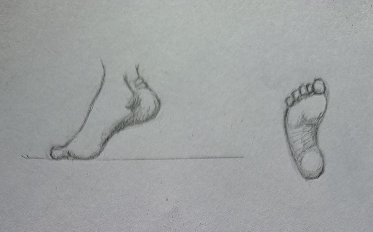 Foot study by jonasbl on DeviantArt