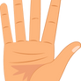 mano derecha 5 dedos