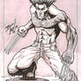 Wolverine in Grey Sketch Card