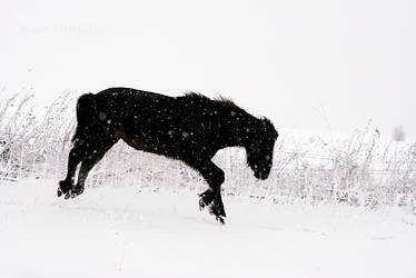 Enjoying the snow!