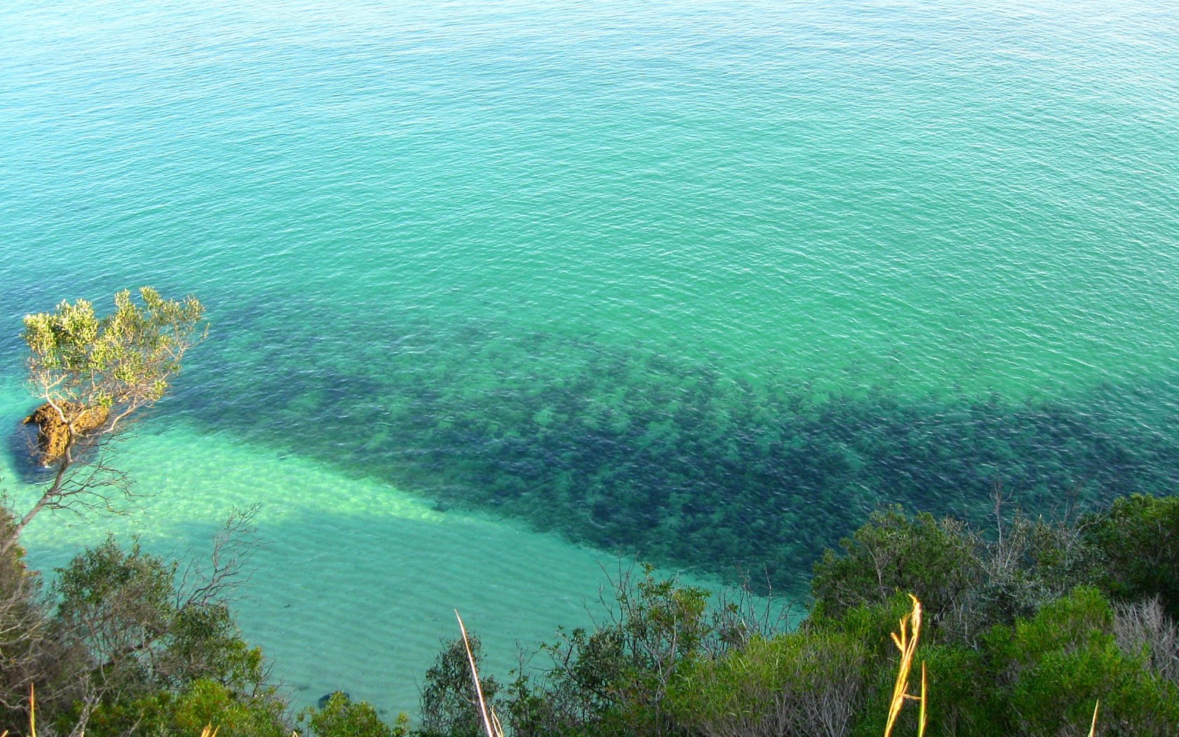 Arrabida Blue Ocean