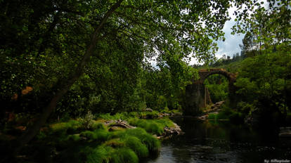 The Old Bridge