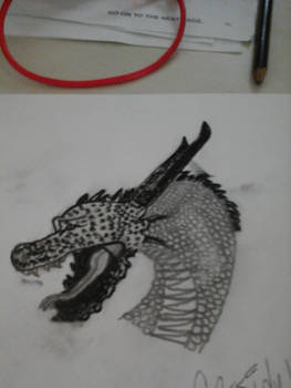 Dragon head