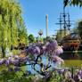 A Wisteria Grows in Tivoli