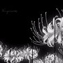 Steam Workshop - White Spider Lily