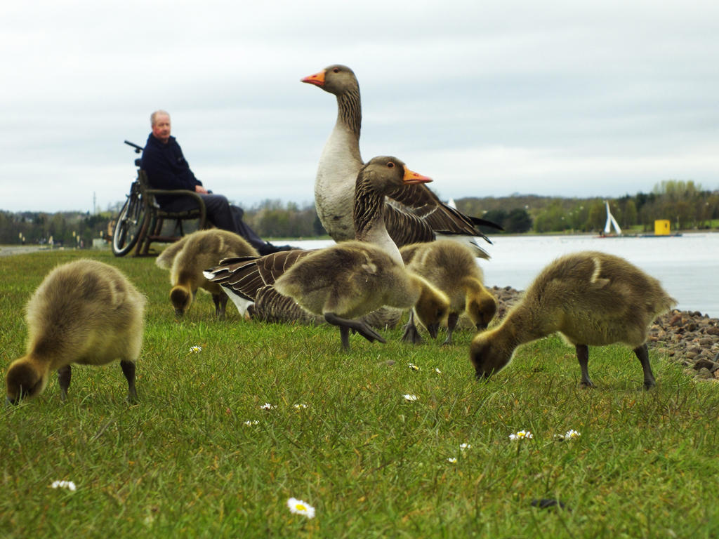 maw paw n babies