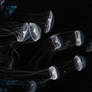 fish: jellyfish