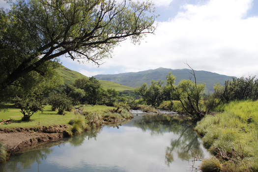 Clouded river