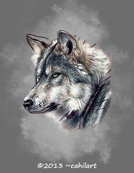 Wolf Head