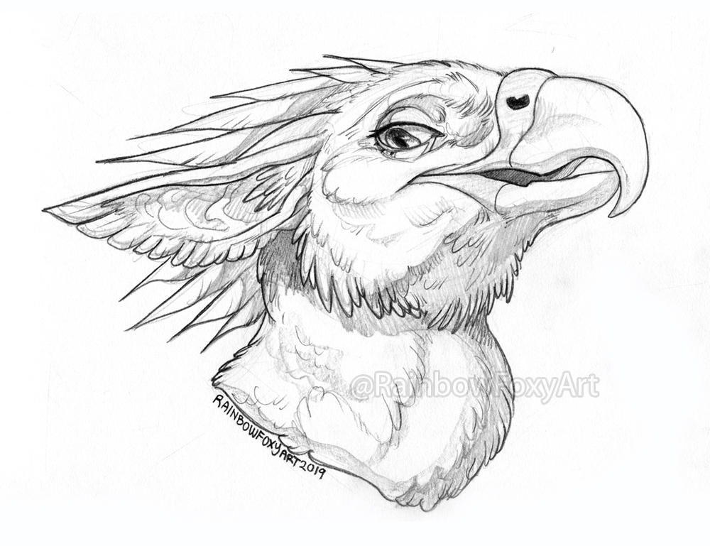 WEB Crissdragonx Bust Sketch Comm by Rainbow-Foxy WEB Crissdragonx Bust Sketch Comm by Rainbow-Foxy