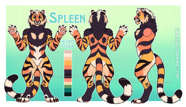 [CM] Spleen Ref for SmolFuzz