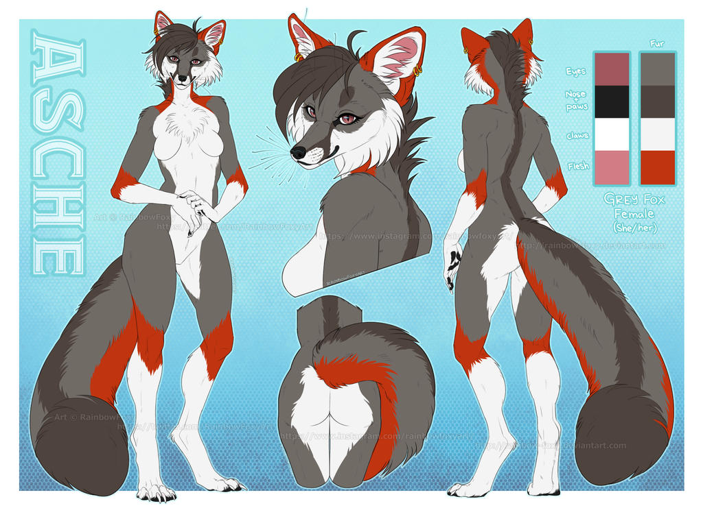 [CM] Asche Reference Sheet by Rainbow-Foxy