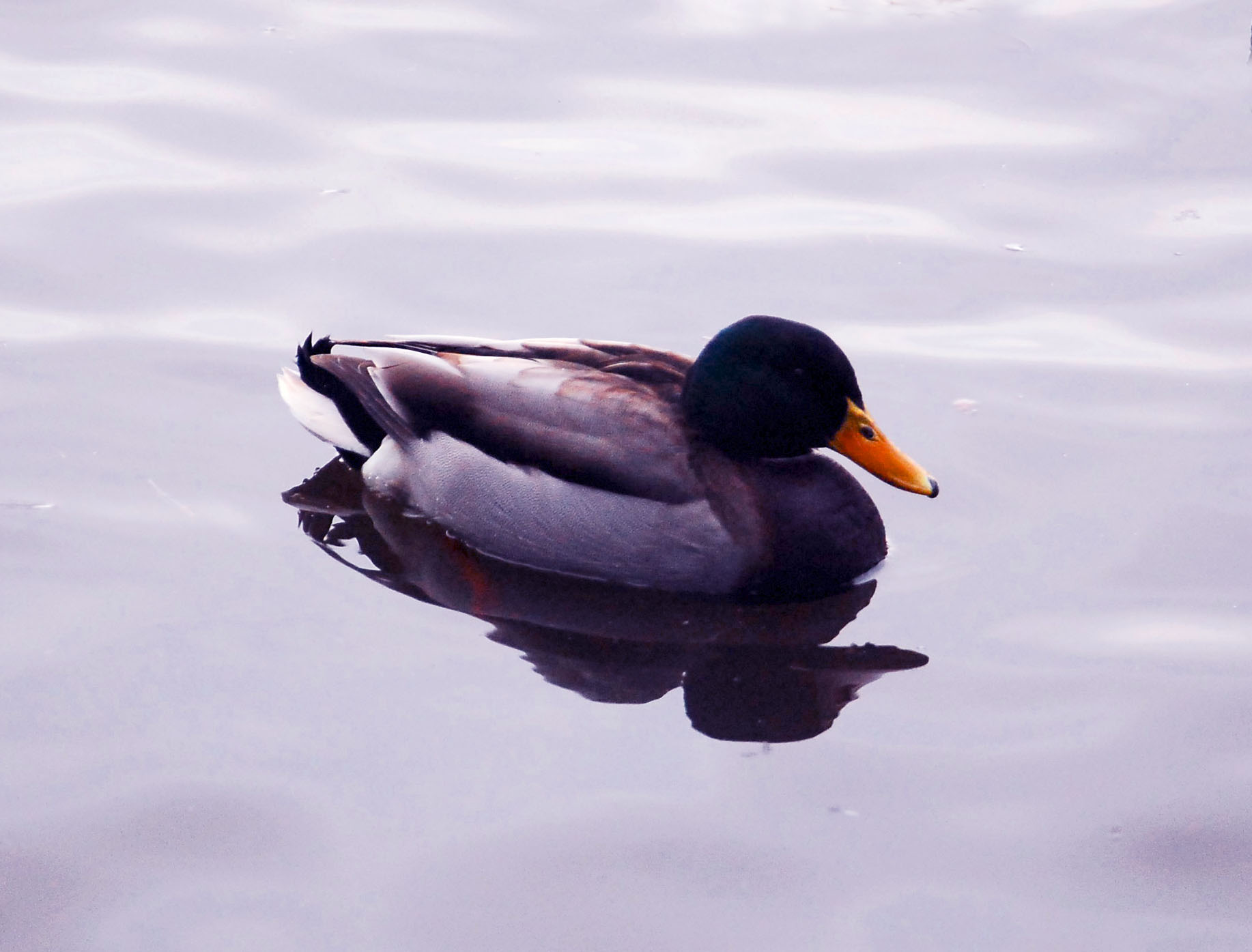 calm waters