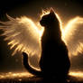 My Guardian Angel