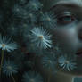 Dandelion Soul