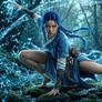 The Waterbender