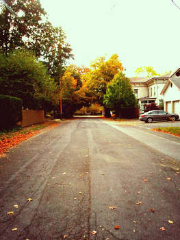 Autumn Street