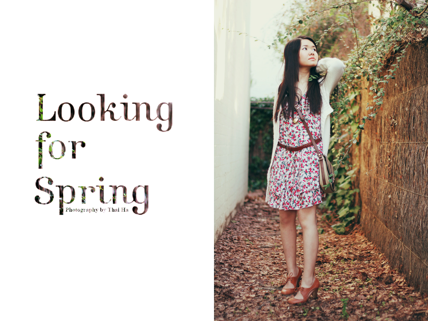 Looking for Spring 01