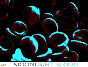 MOONLIGHT BLOOD