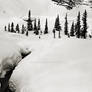 On the Crowfoot Glacier Trail, Winter 1974