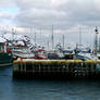 Small-boat Basin, South Side of St. John's Harbor