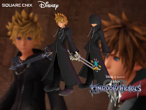 Roxas (Org. XIII Coat)