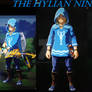 The Hylian Ninja