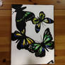 Butterfly Fly Away (Completed)