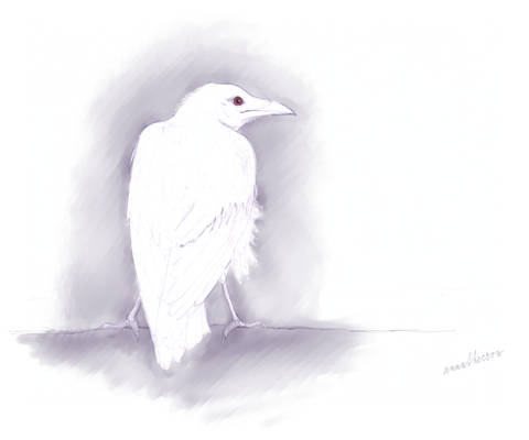 White crow