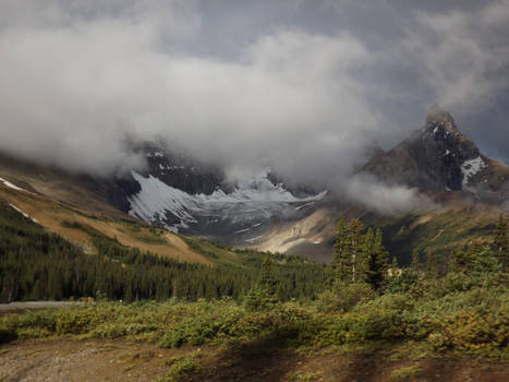 Valley Mist