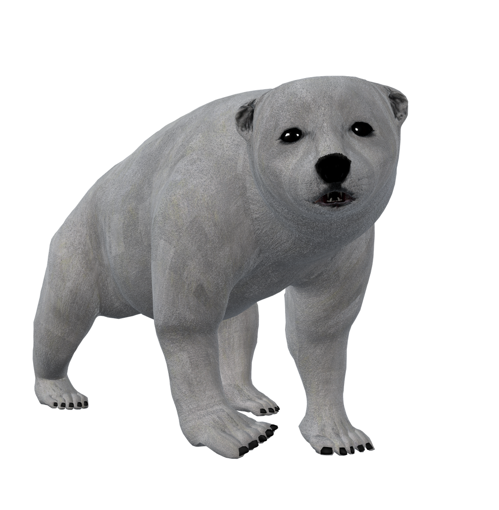 Polar Bear Cub Png Stock