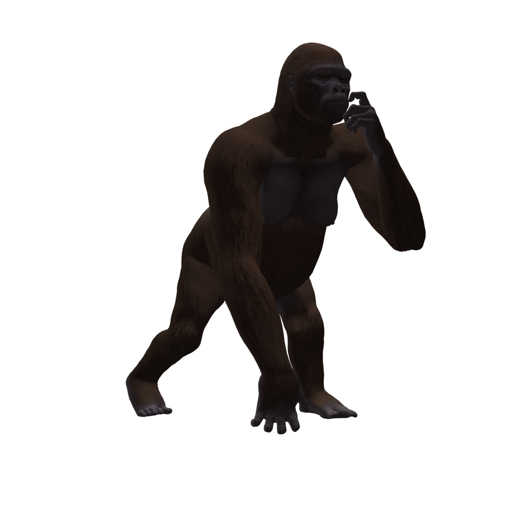 Gorilla Female Png Stock 2