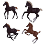 Flying Foals