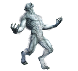 Wolf Guy 5