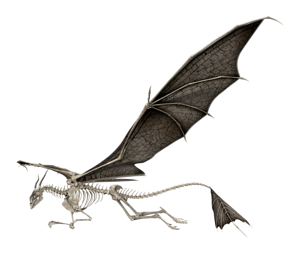 Wraith Dragon 5 by Direwrath on DeviantArt