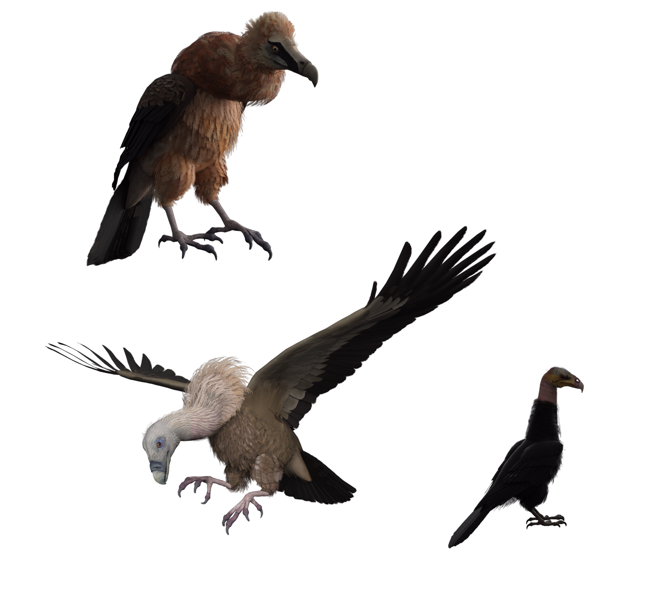 Vulp Creature Vultures 1 by Direwrath on DeviantArt