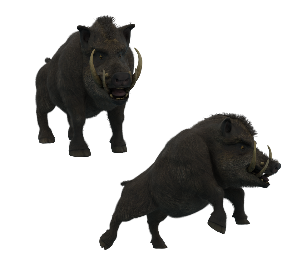 Boar Monkey Deviantart Boar 1 by Direwrath on DeviantArt
