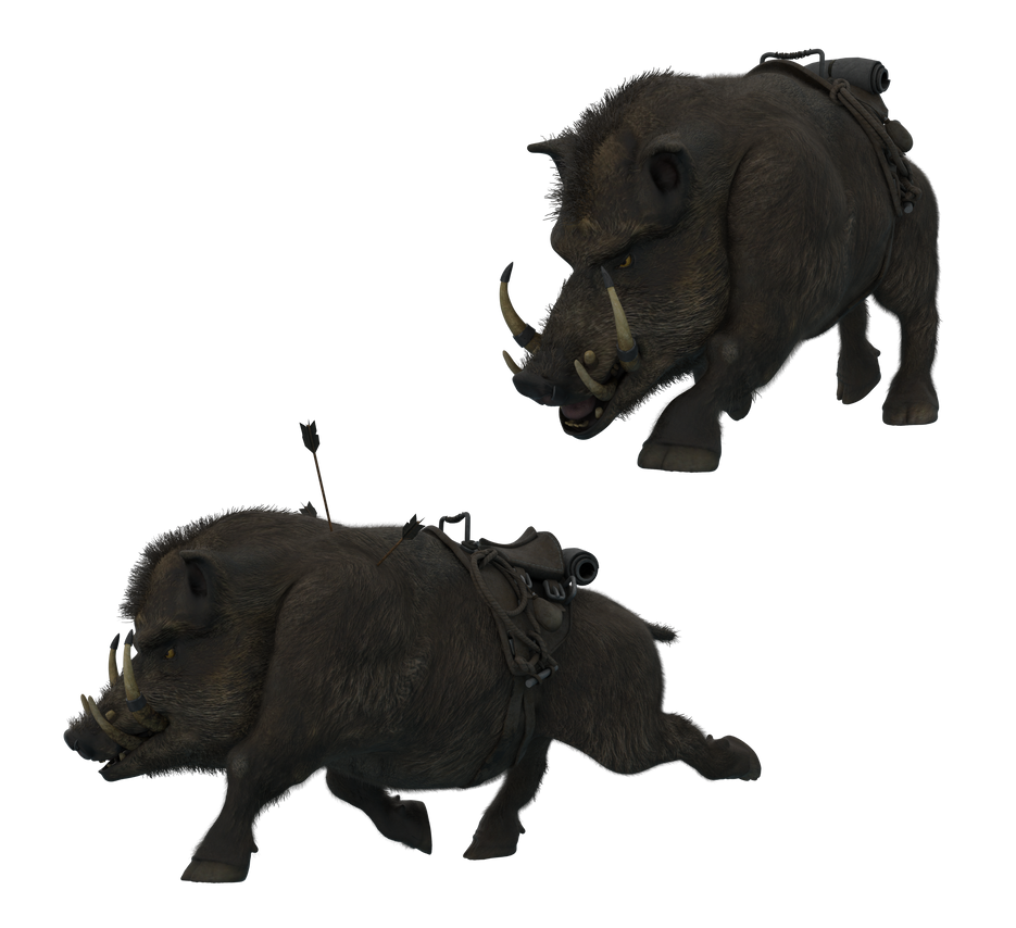 Boar Monkey Deviantart Boar 5 by Direwrath on DeviantArt