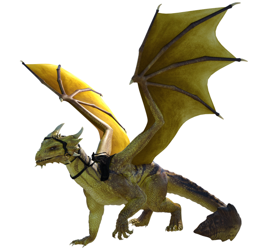 Dragon Rider 1 by Direwrath on DeviantArt