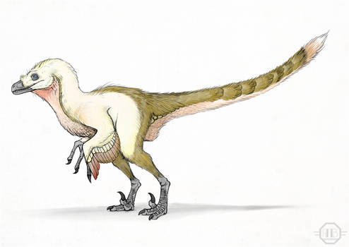 Velociraptor