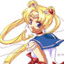 Sailor Moon omg