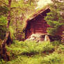 The Foresters Hut