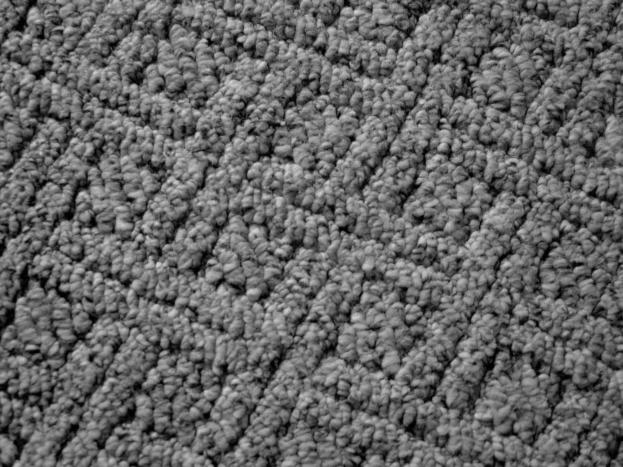 Texture 2004 Carpet