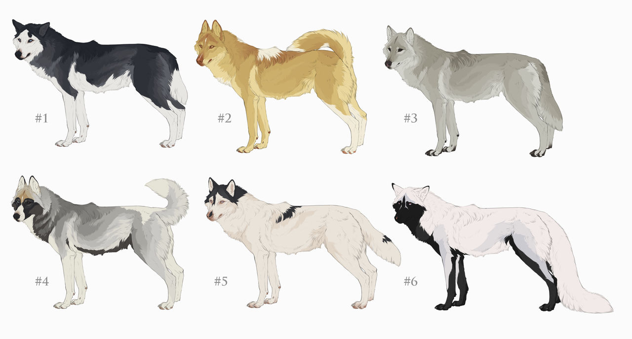 Wolf Adopt (OPEN) by mr---Horror on DeviantArt