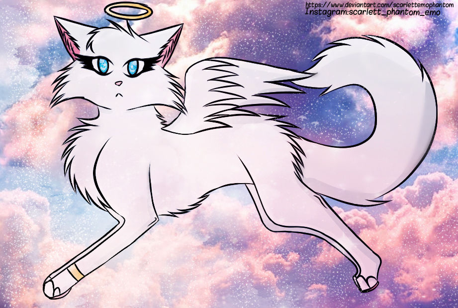 Angel Castle Cats Game Fan Art By ScarlettEmoPhantom On DeviantArt angel-castle-cats-game-fan-art-by-scarlettemophantom-on-deviantart