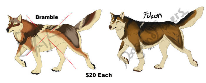 Wolf Adopts