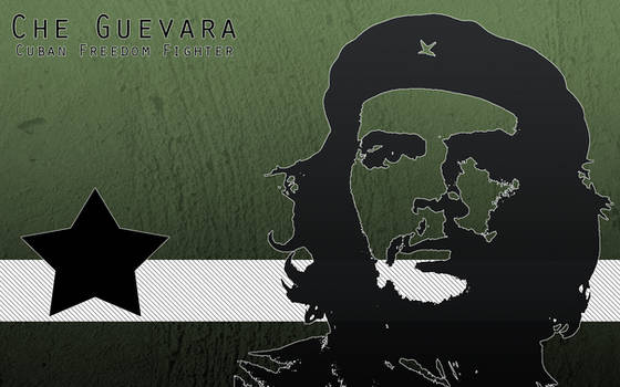 Che Guevara - Freedom Fighter2