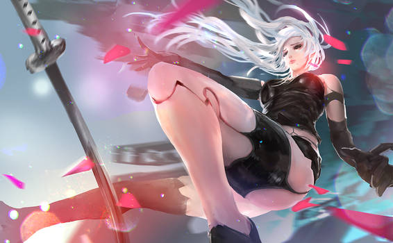 Nier-A2