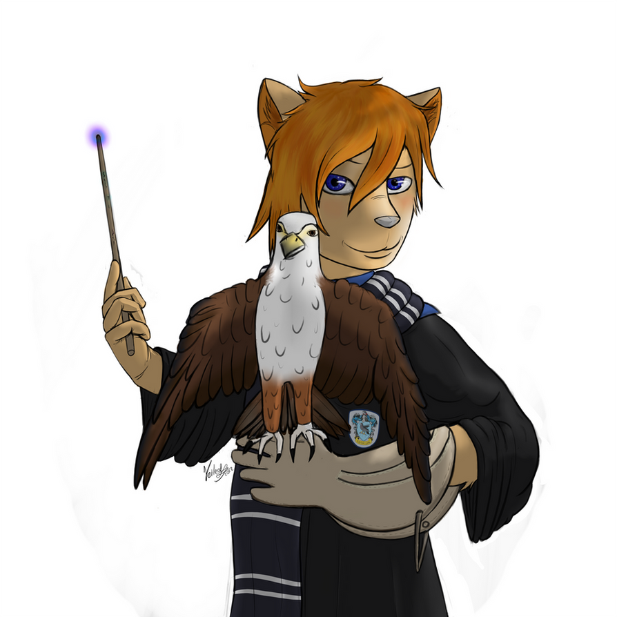 Ravenclaw Deviantart Ravenclaw by VeiledCat on DeviantArt